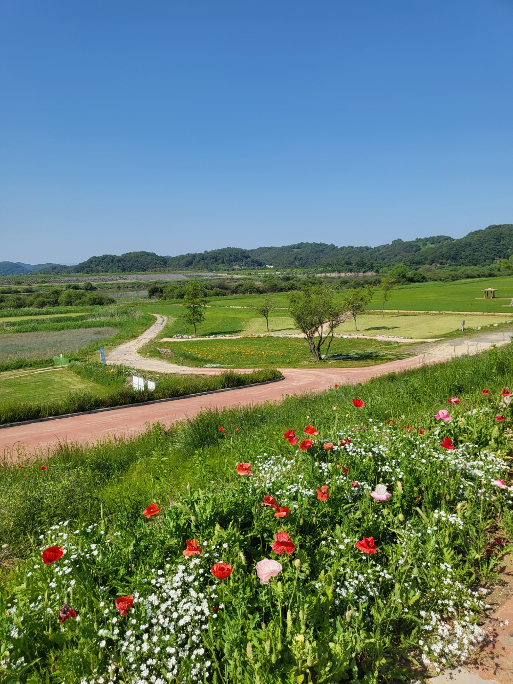  함안가볼만한곳 악양 뚝방길