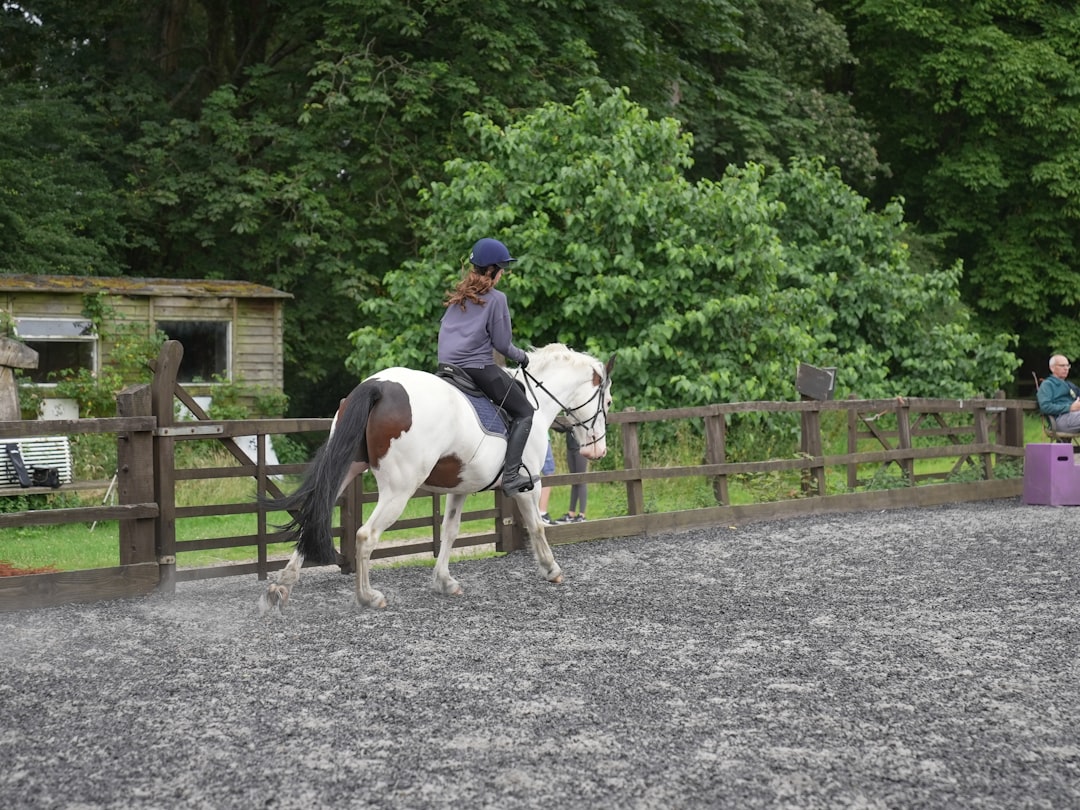 Trot