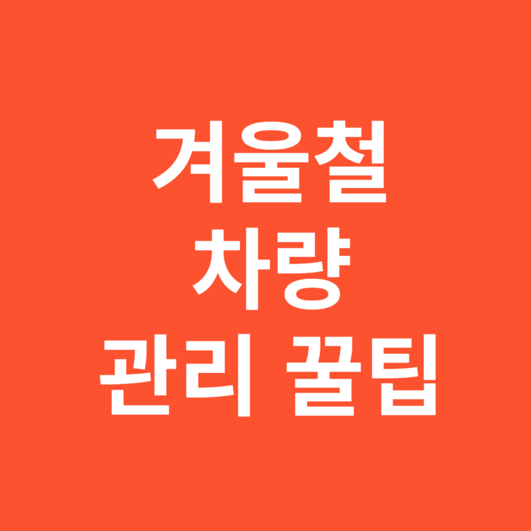 겨울철 차량 관리 꿀팁