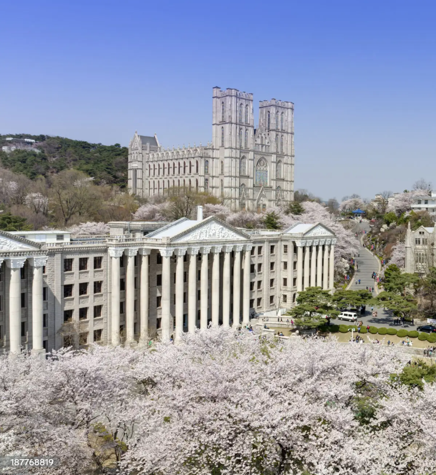 대한민국 경영학과 대학교 이미지