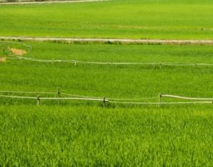 꼭 가야하는 축제 BEST 5곳