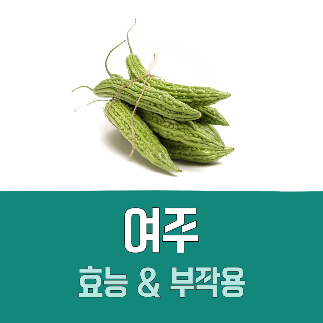 여주 효능 부작용