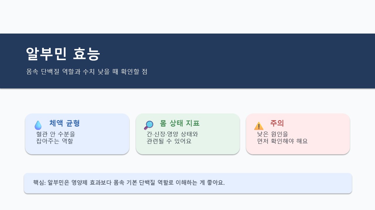 알부민 효능 정리