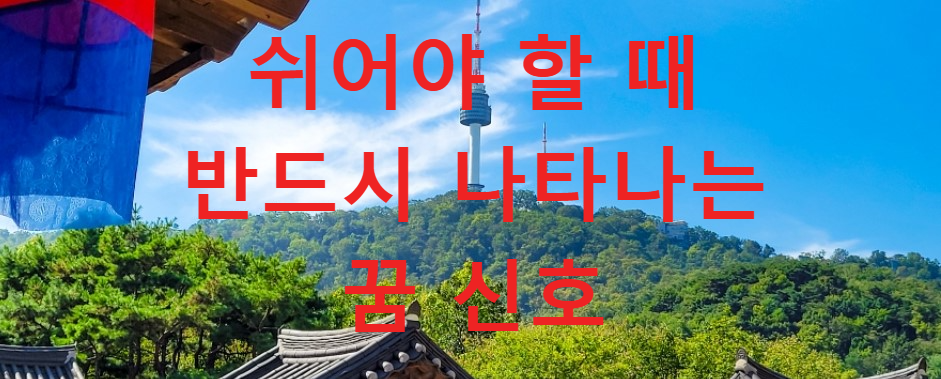 꿈과건강