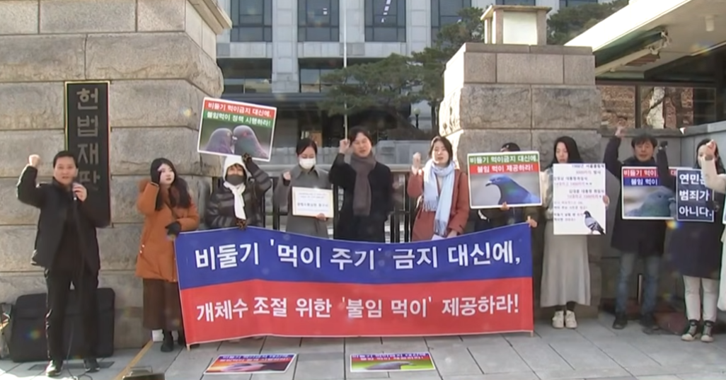 비둘기 먹이 주기 금지