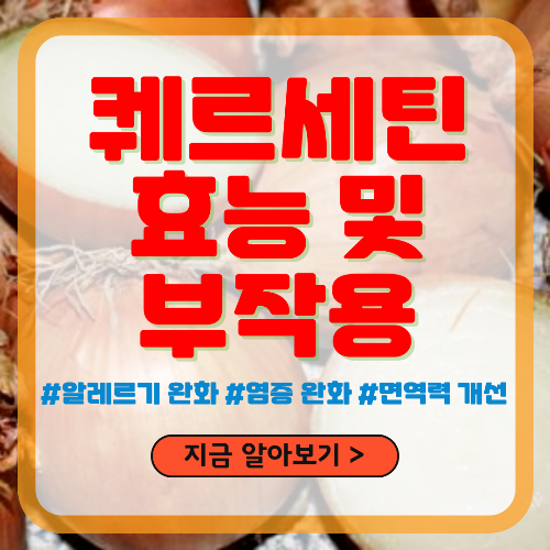퀘르세틴 주요 효능 및 부작용