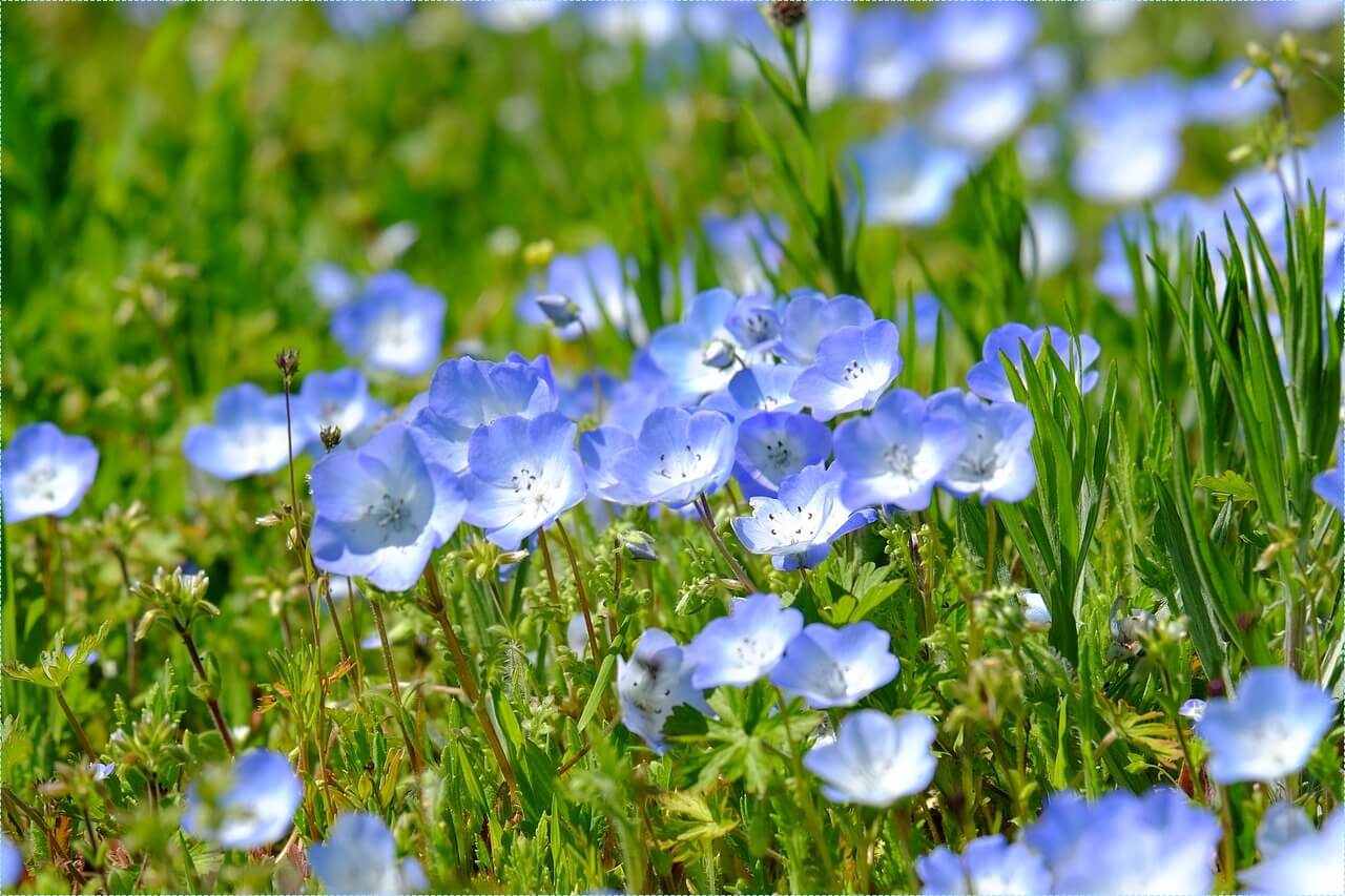 우체국 적금 금리