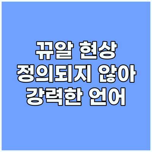 뀨알 현상: 정의되지 않아 더 강력한..