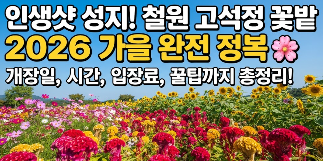 철원 고석정 꽃밭
