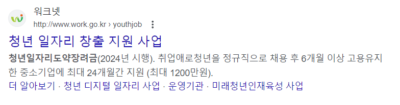 청년일자리 도약장려금