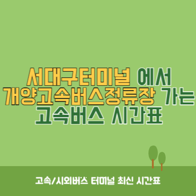 서대구터미널에서 개양고속버스정류장 가는 고속버스 시간표 최신정보