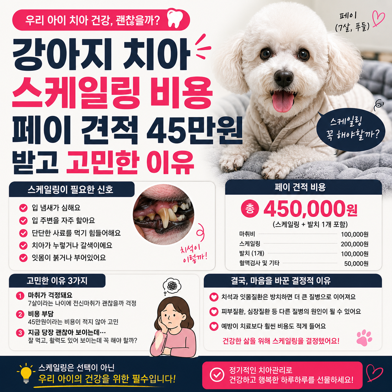 강아지 치아 스케일링 비용, 페이 견적 45만원 받고 고민한 이유