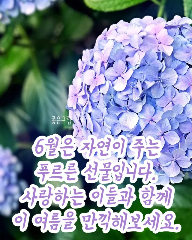 6월 인사말 예시 모음 카톡_5