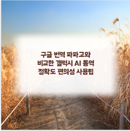 구글 번역 파파고와 비교한 갤럭시 AI 통역 정확도 편의성 사용팁