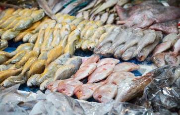 농할상품권 구매방법 사용처 사용기간 구매한도팁