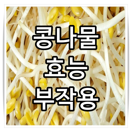 콩나물 효능 부작용