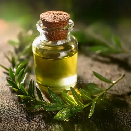 완성된 티트리 오일