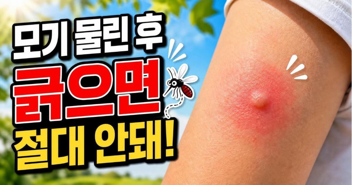 모기 물린 후 빨리 낫는 방법