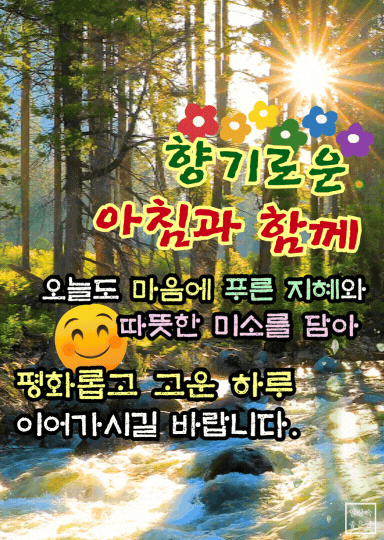 아침 햇살과 숲속에서 전하는 향기로운 화요일 인사말