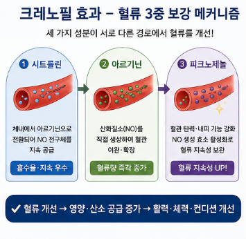 크레노필-후기-효과-약국-가격-복용법-부작용