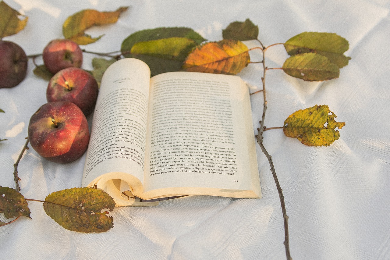 가을에 어울리는 스페인 소설의 감성, 계절, 낭만 참고 사진