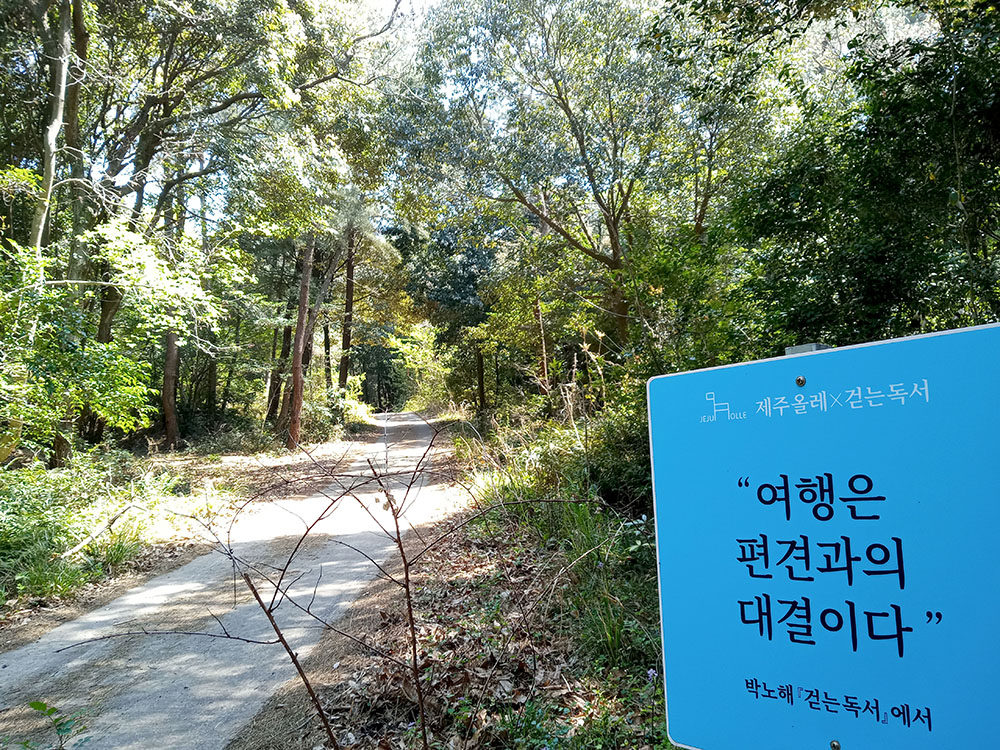 걷는 독서 박노해