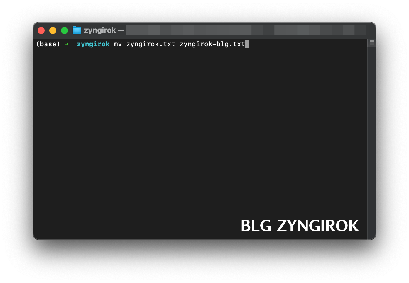 터미널에서 mv 명령어를 이용해 zyngirokk.txt 파일의 이름을 zyngirok-blg.txt로 변경하는 모습이다.