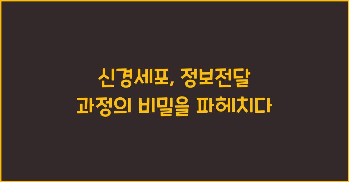 신경세포, 정보전달 과정