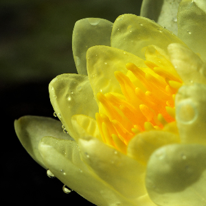 허준의 ‘진액’ 개념으로 본 속건조의 진실! 건조한 피부 살리기!