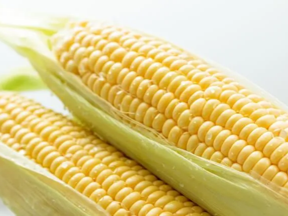 옥수수차 만들기