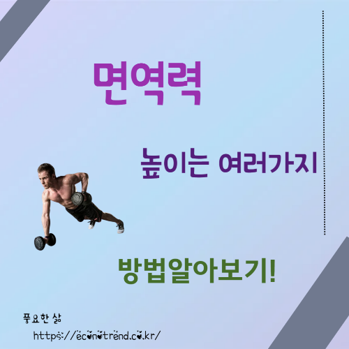 면역력을 높이는 방법 건강한 일상 만들기 썸네일