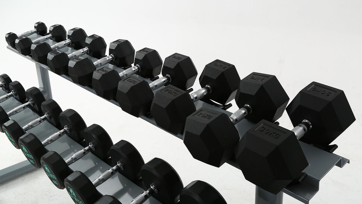 헬스장에서 근력 운동에 사용되는 무게별 덤벨 세트 정렬 이미지