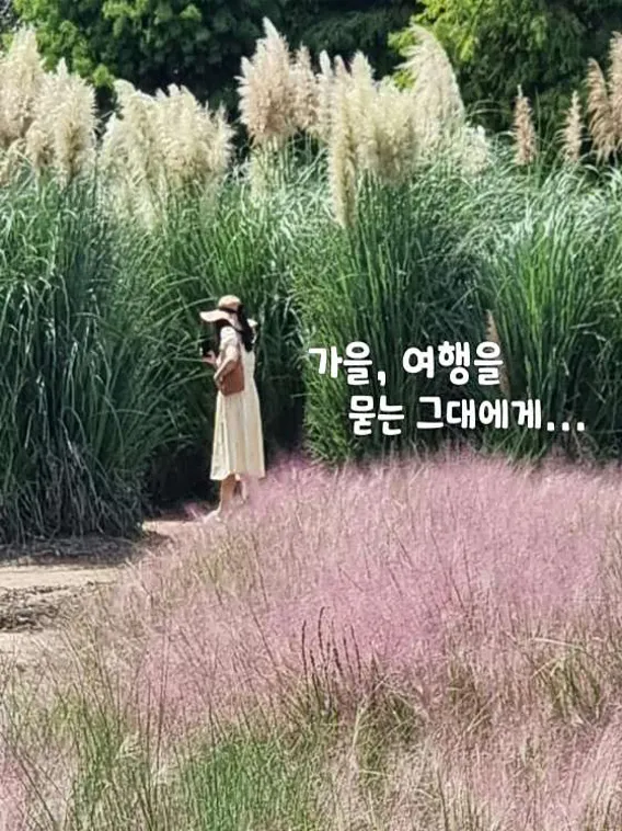 청산수목원