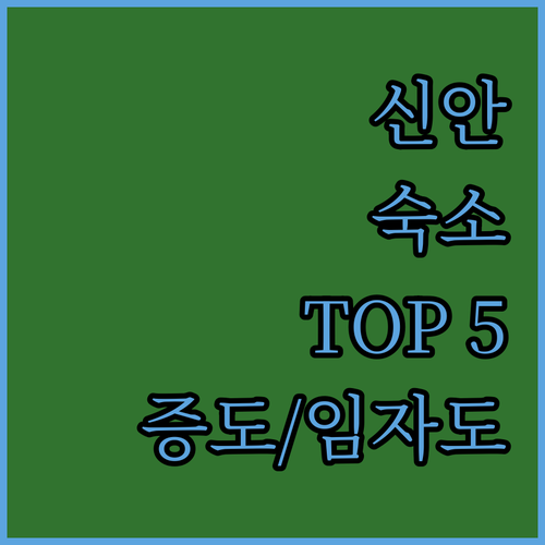 전남 신안 숙소 추천 TOP 5 증도..