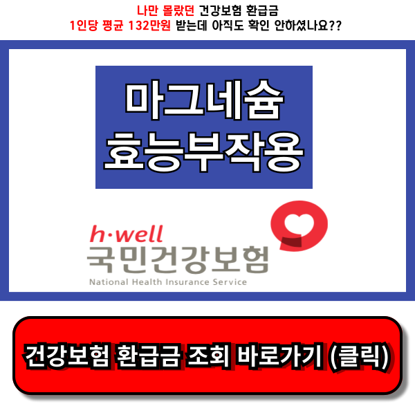 마그네슘 효능 부작용
