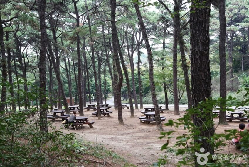 오산 가볼만한곳 베스트 10