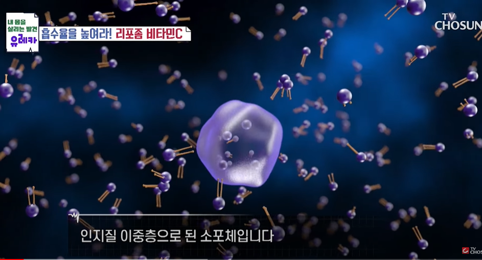 리포좀 비타민C