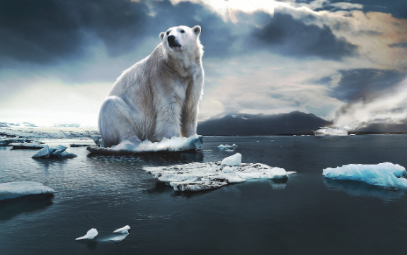 기후 변화와 환경 문제