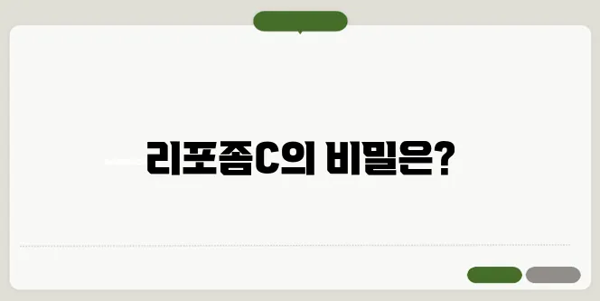 리포좀 비타민C 효과와 흡수율 높은 제품 추천