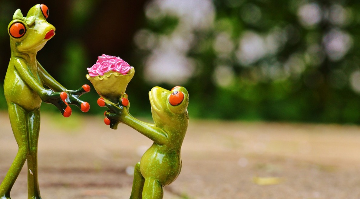 고백할 때 주면 좋은 꽃