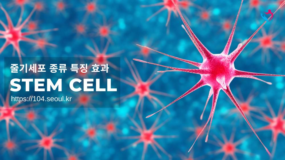 줄기세포 종류 특징 효과