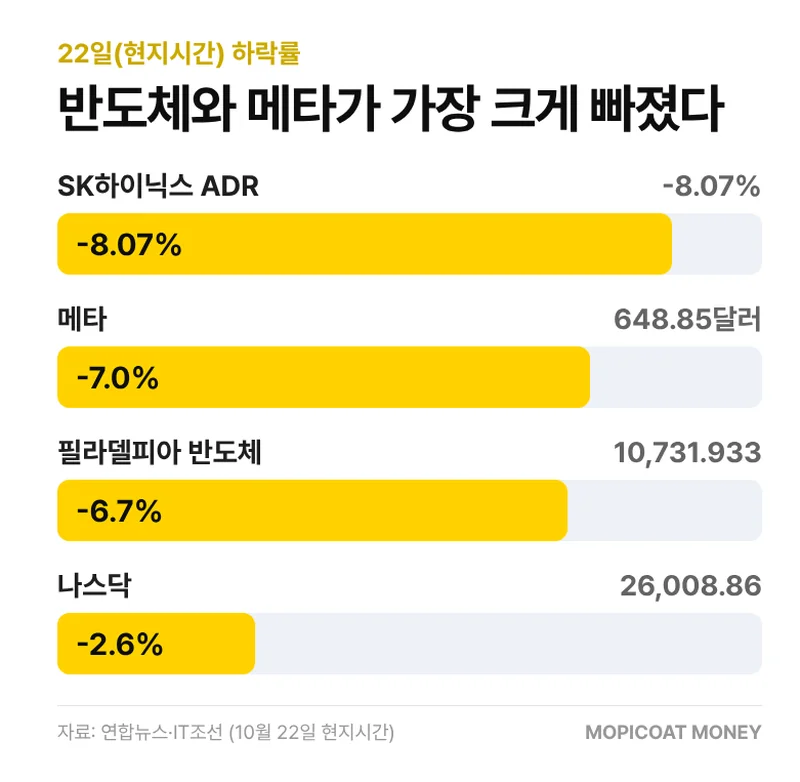 메타 급락과 AI 투자 회의론