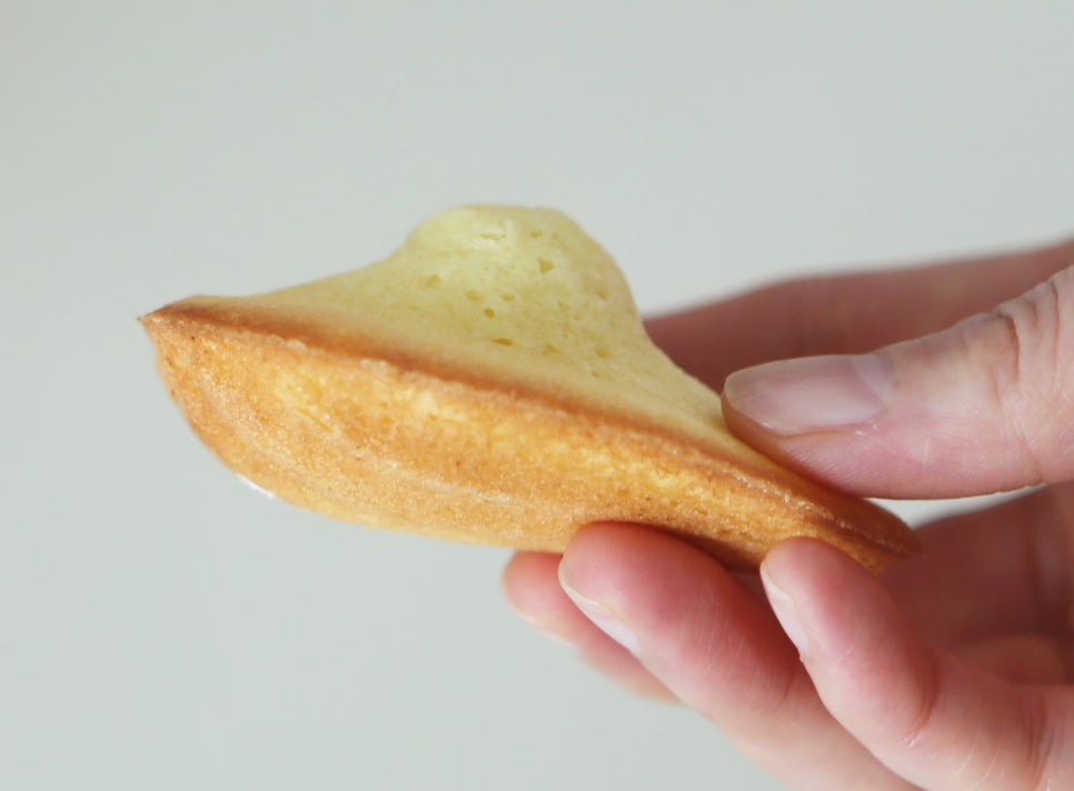 레몬 마들렌