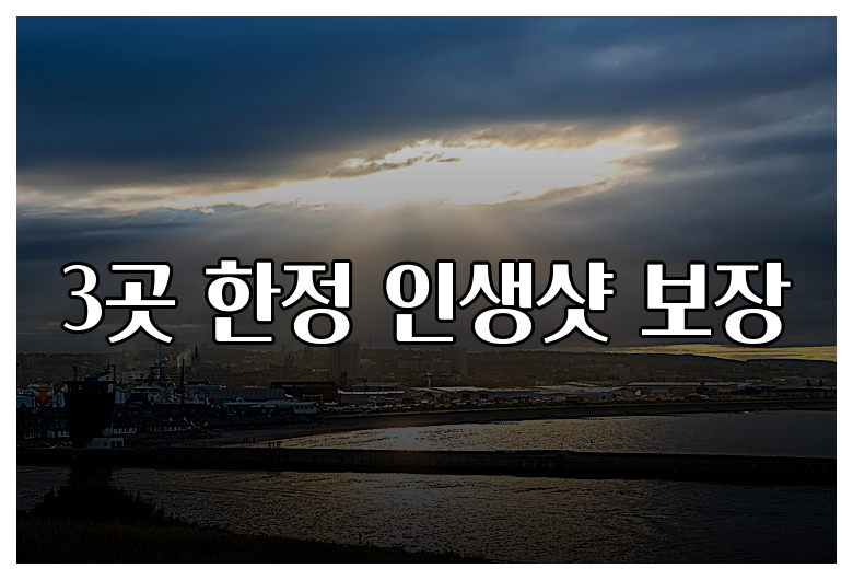 3곳 한정 인생샷 보장