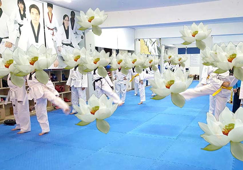 연꽃보다 태권도