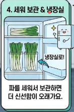대파 보관법