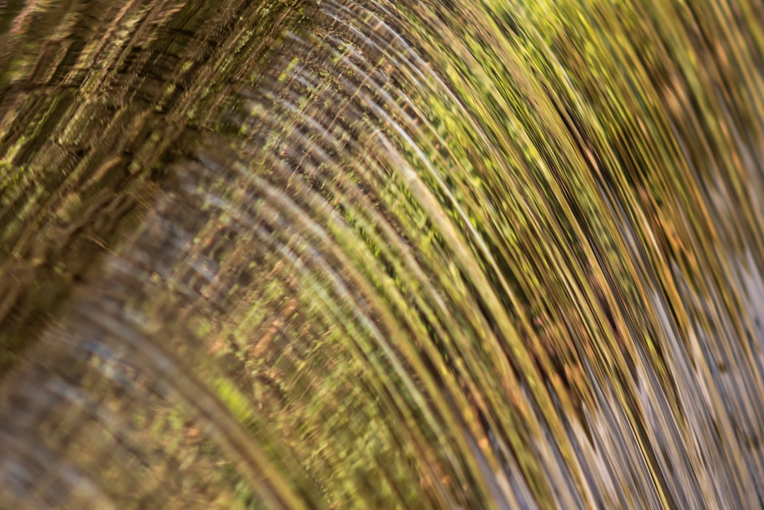 Liquidity