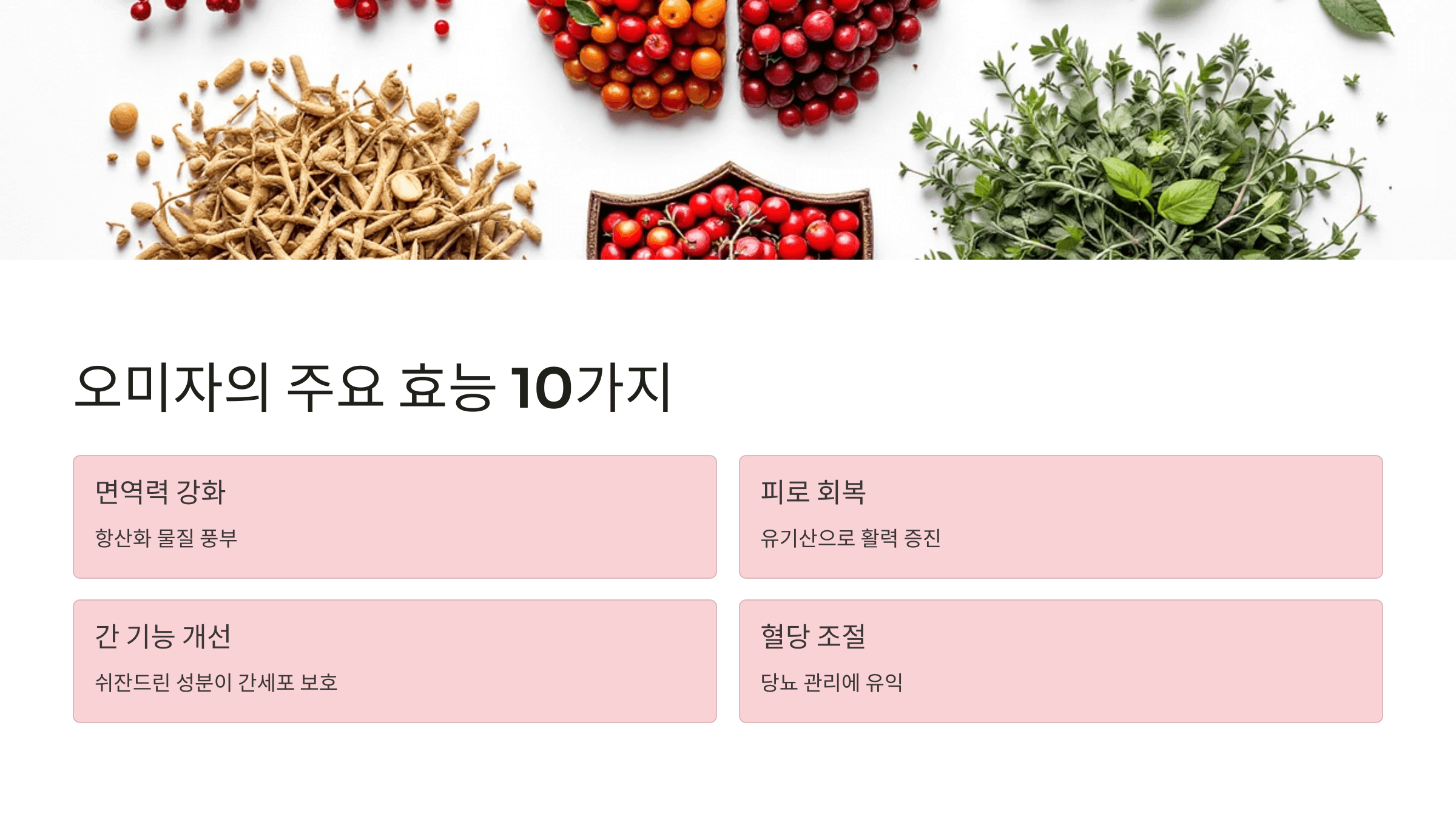 오미자 사진입니다.