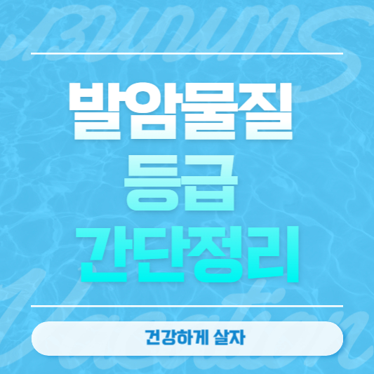 발암물질 등급 간단정리