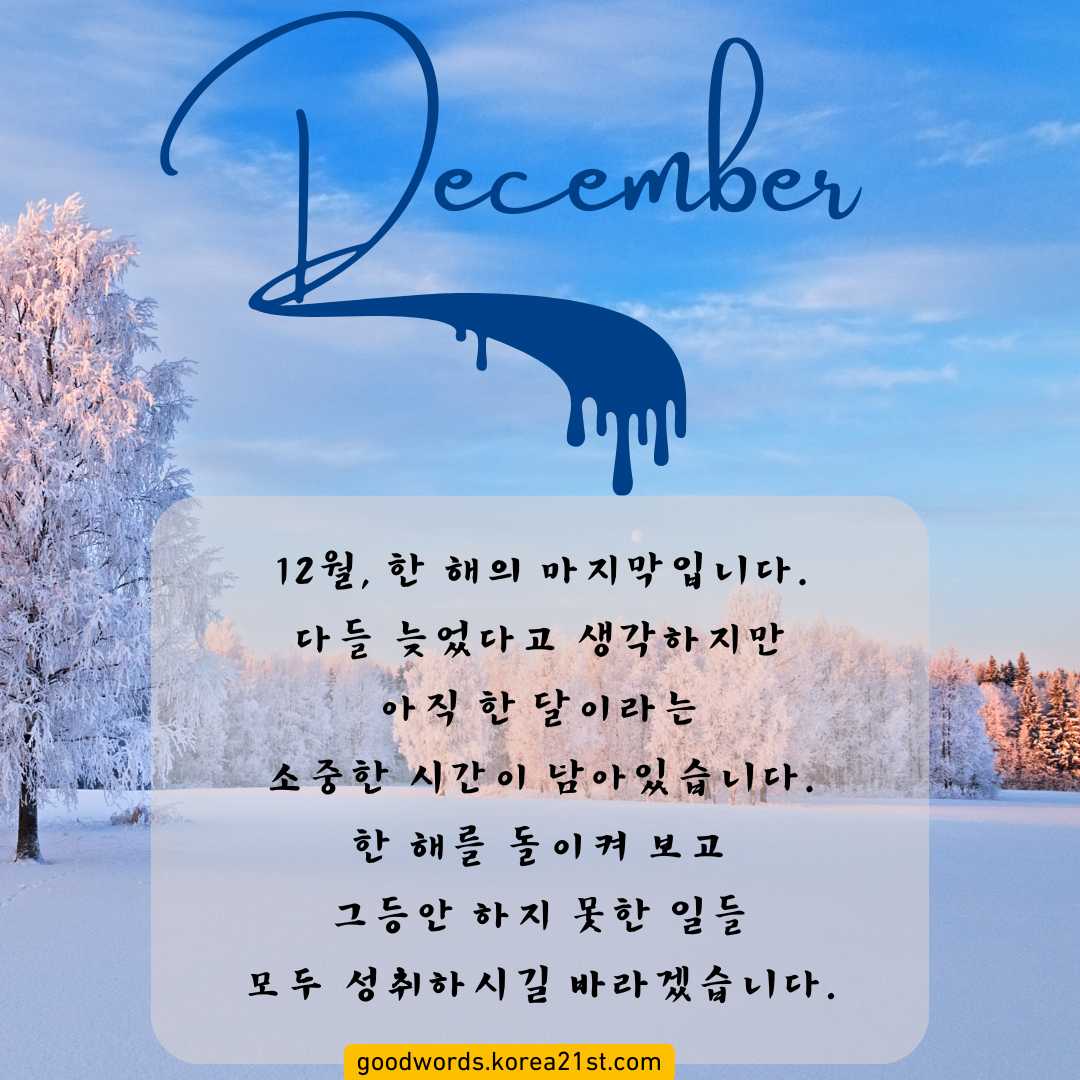 12월 인사말 이미지 문구 모음집 안부 문자 메세지